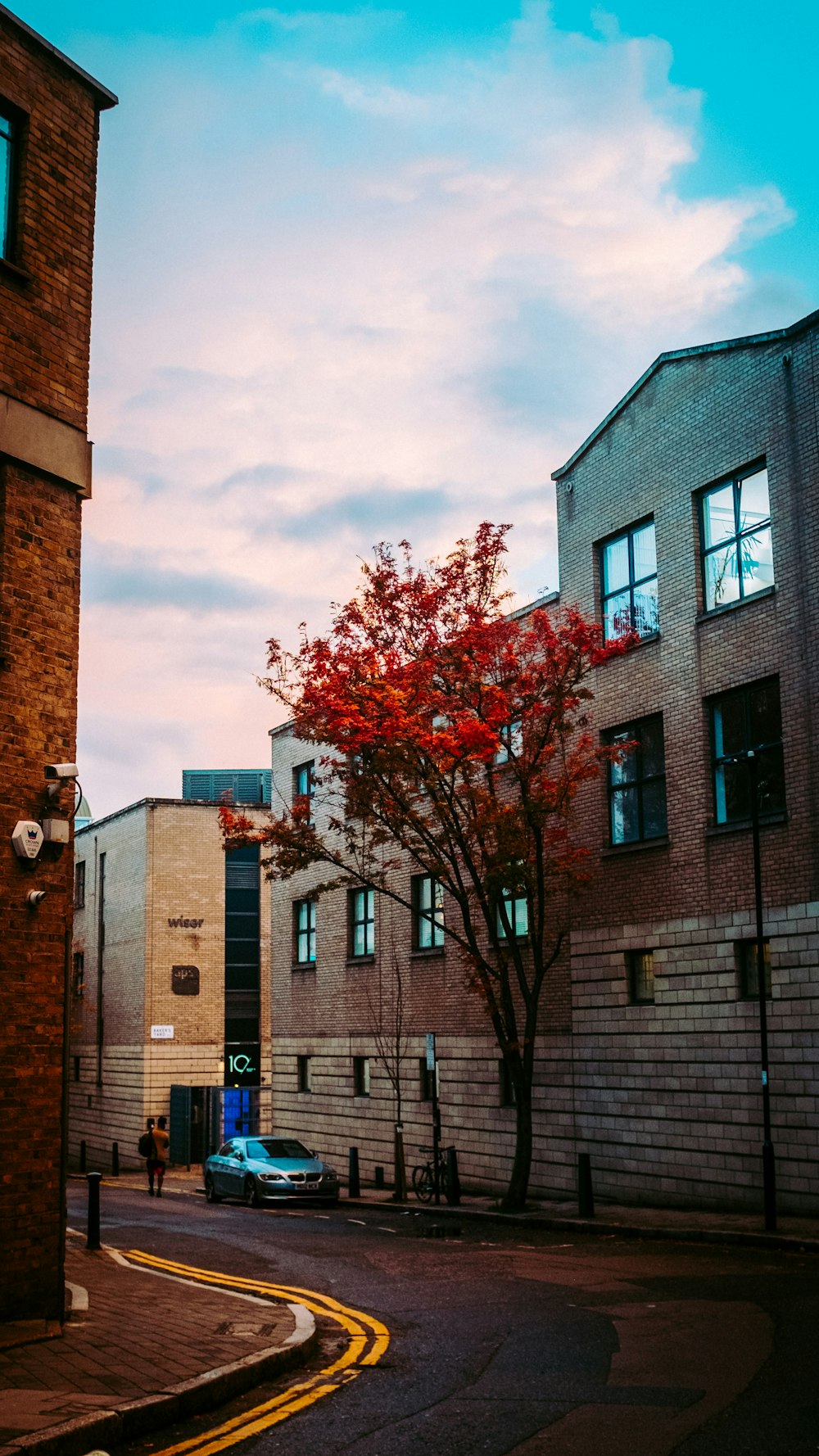 red tree outside brown building