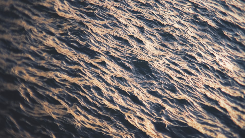 body of water during daytime