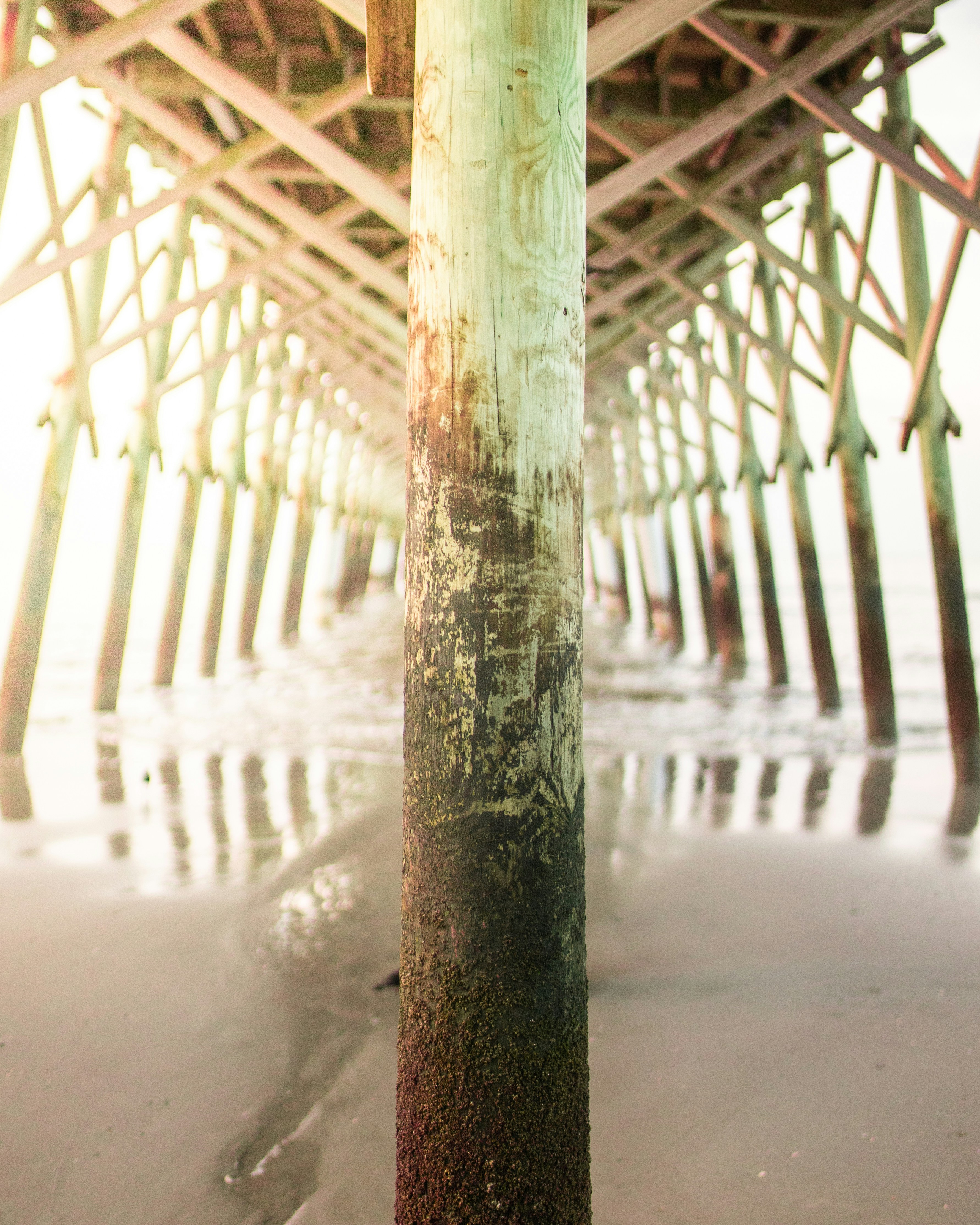 Photo by davidmartinjr