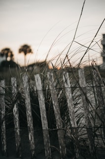 Rustic wooden fence marking boundaries of a large agricultural property at sunset.