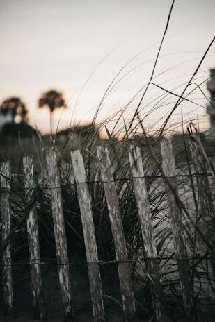 Rustic wooden fence marking boundaries of a large agricultural property at sunset.
