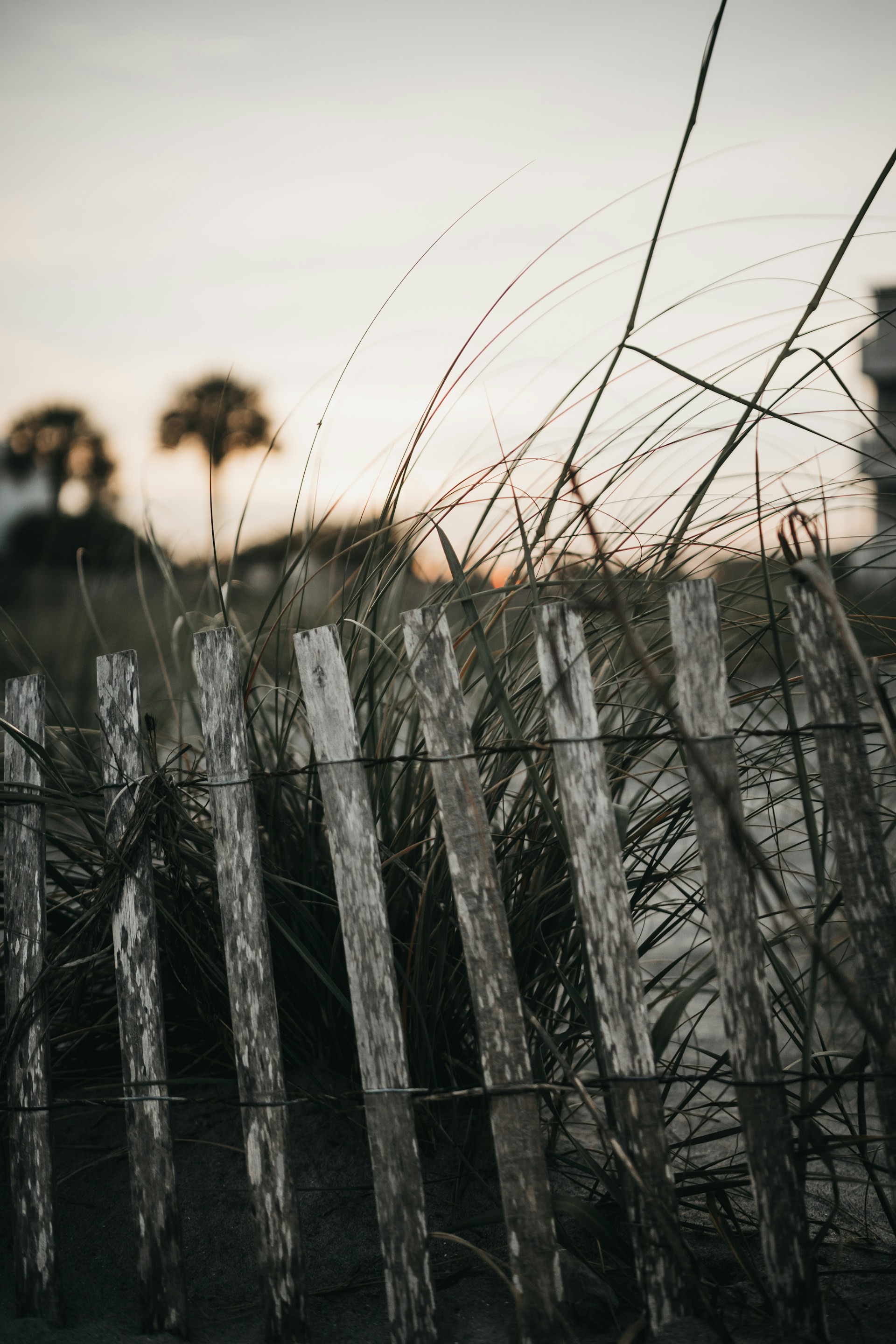 woman wearing yellow long-sleeved dress under white clouds and blue sky during daytime