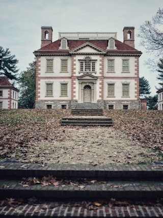 white and brown 4-storey house in front of tree