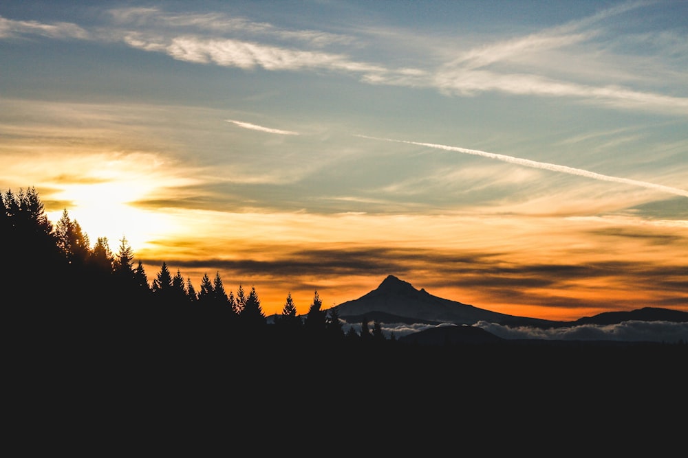 landscape photography of of trees overlooking mountain during golden hour