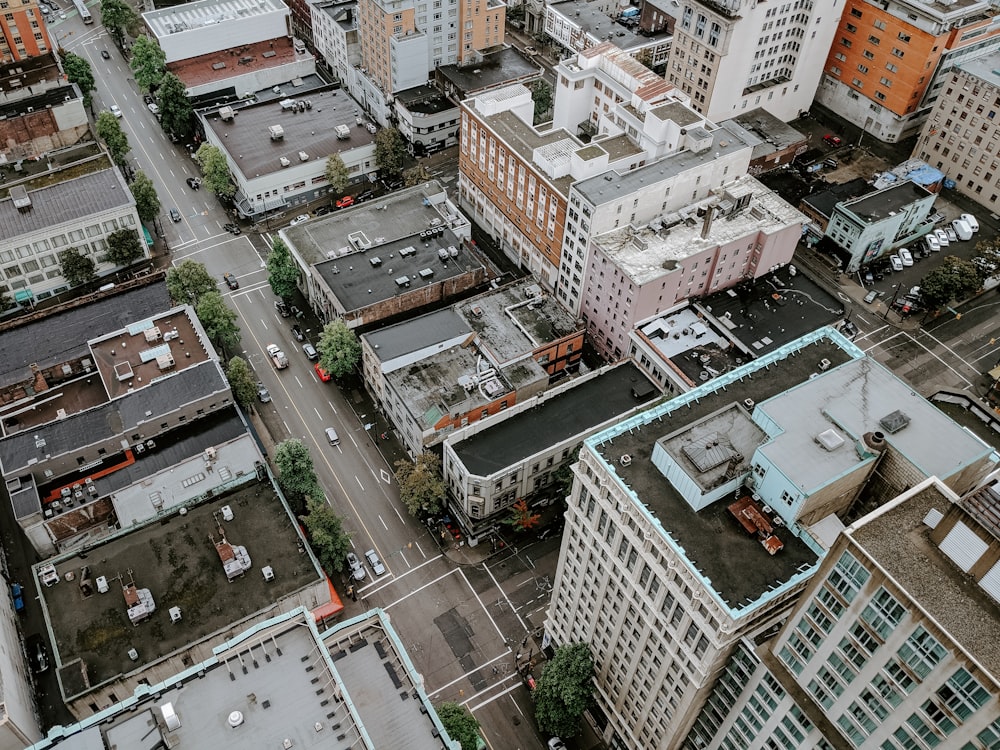 birds eye photography of buildings