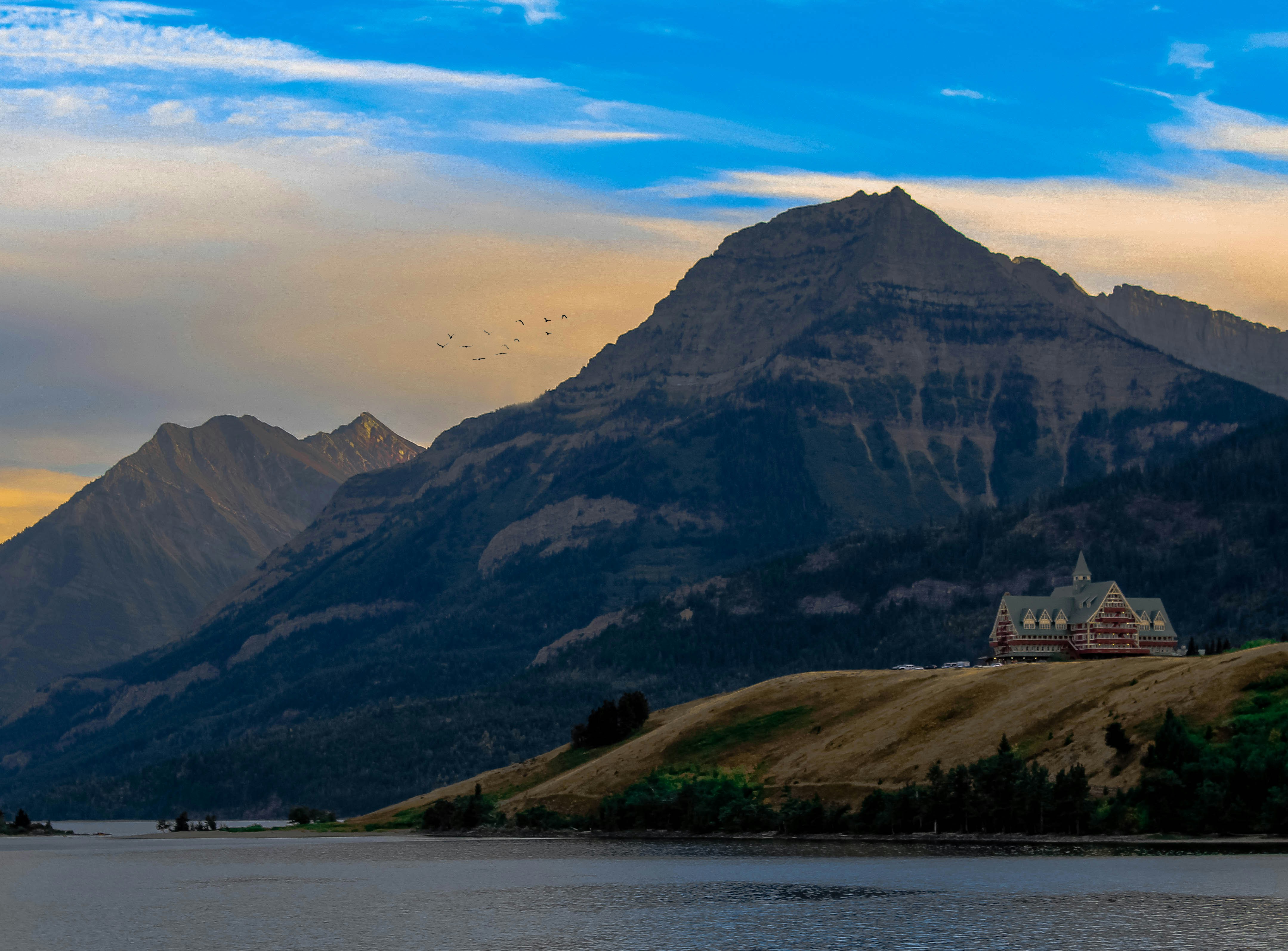 park nature landscape