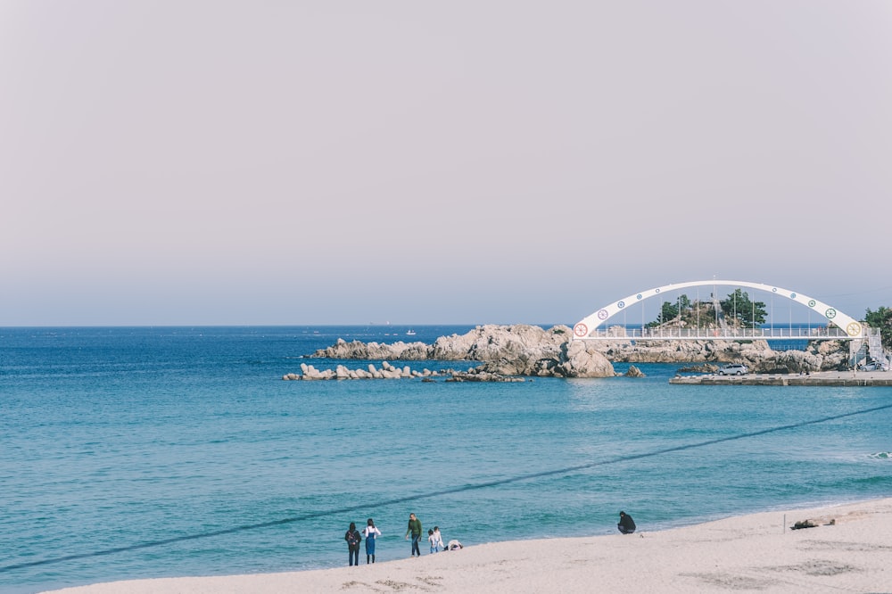 people standing beside seashore