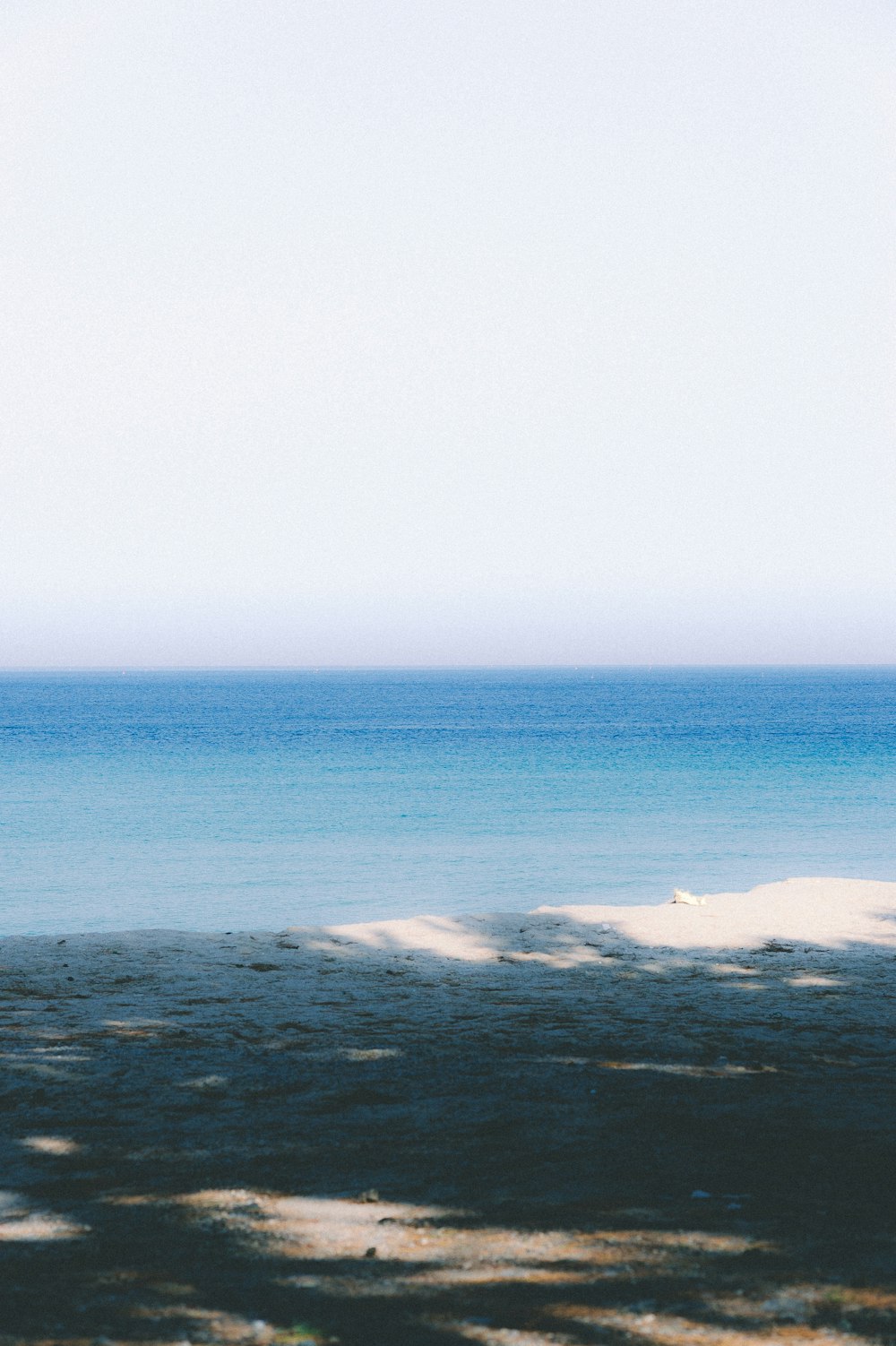 Fotografía de océanos en calma