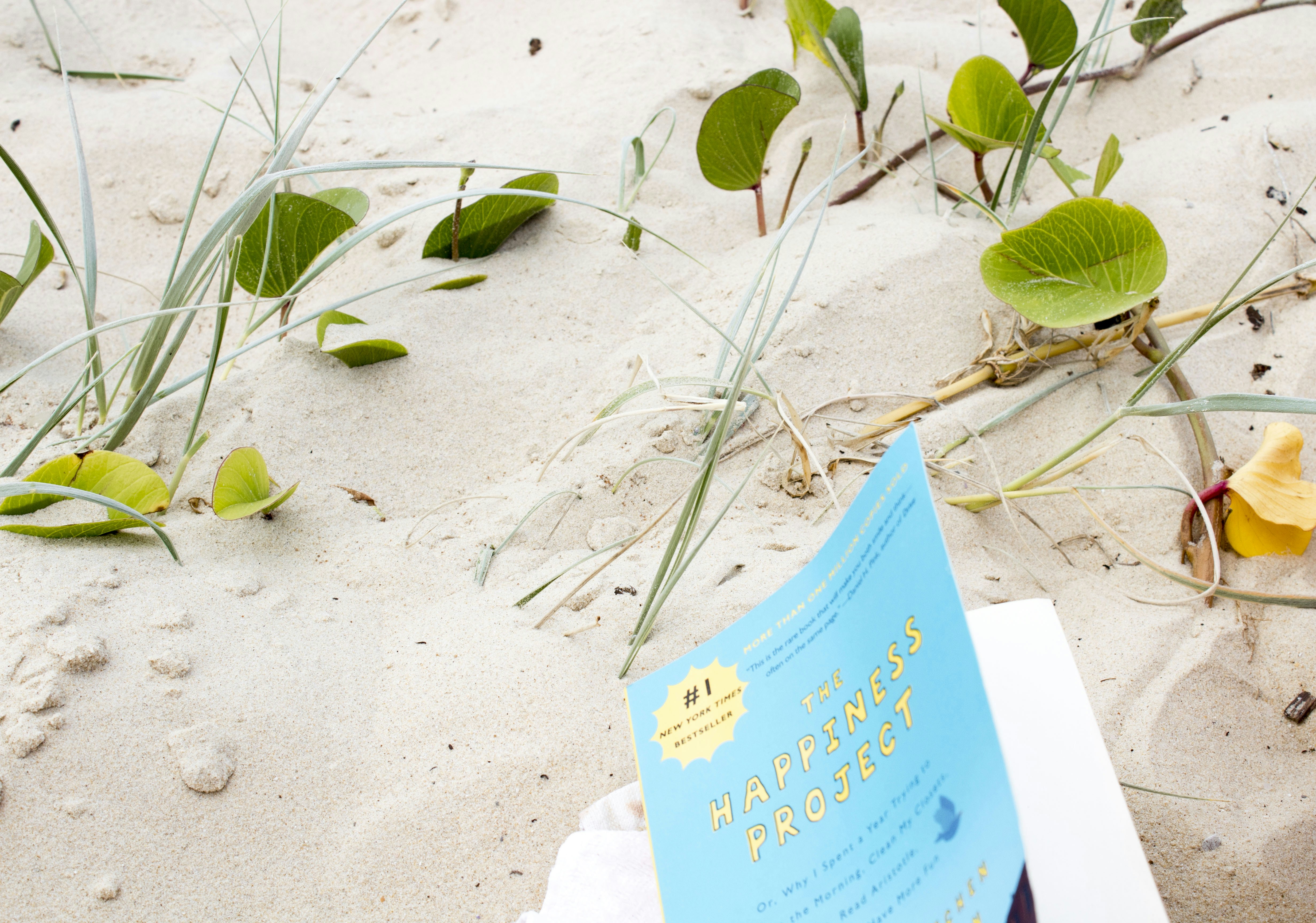 Blue labeled book on white surface