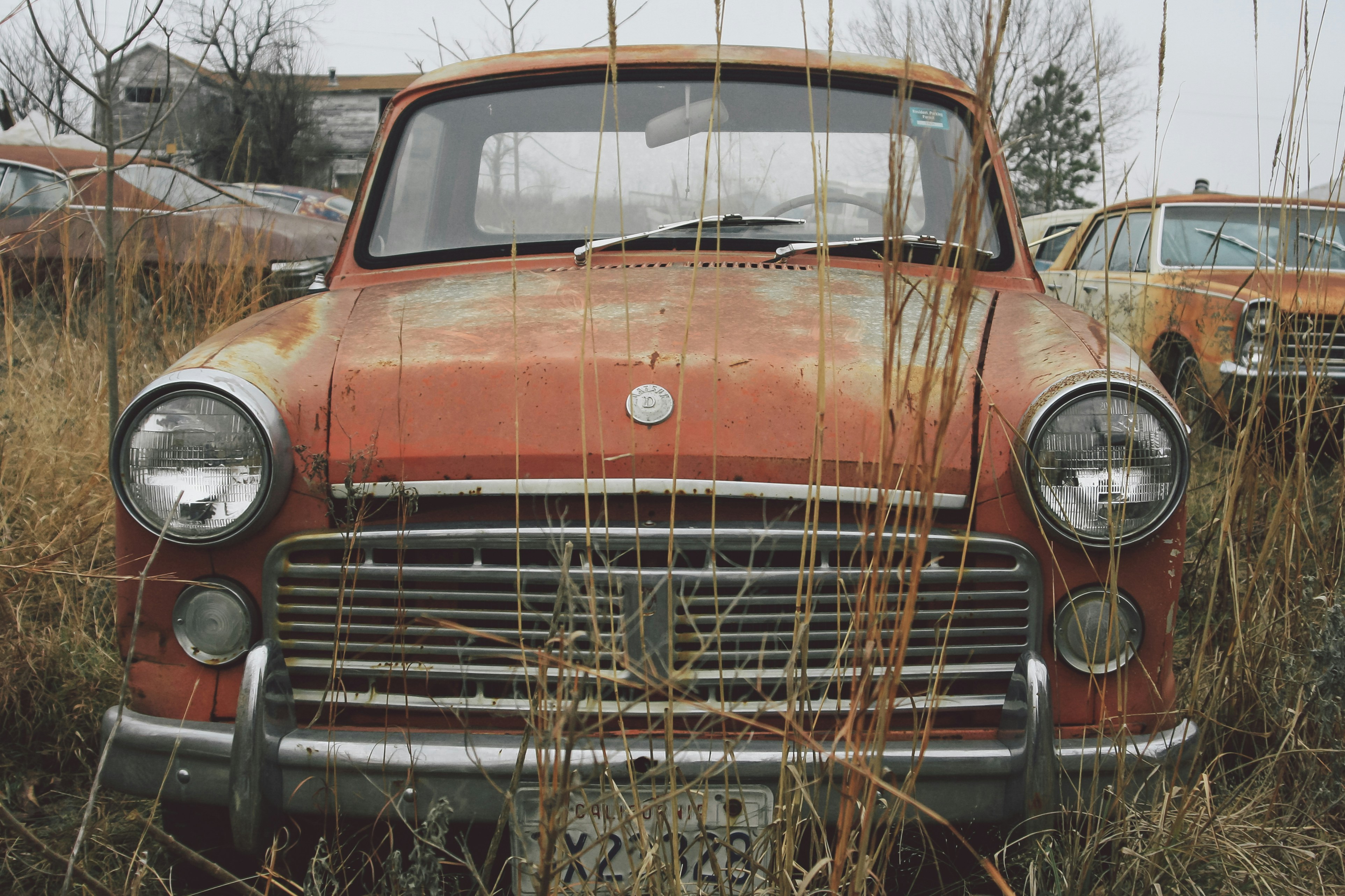 A rusty 1963 Datsun 1200 Pickup Truck | Check out my blog: matthewtrader.com/unsplash