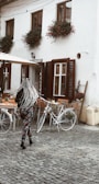A person with long, braided hair is walking on a cobblestone pathway in front of a quaint café. The café has white walls, wooden shutters on the windows, and vibrant flower pots hanging from the windowsills. Two bicycles are parked near wooden tables and chairs outside the café.