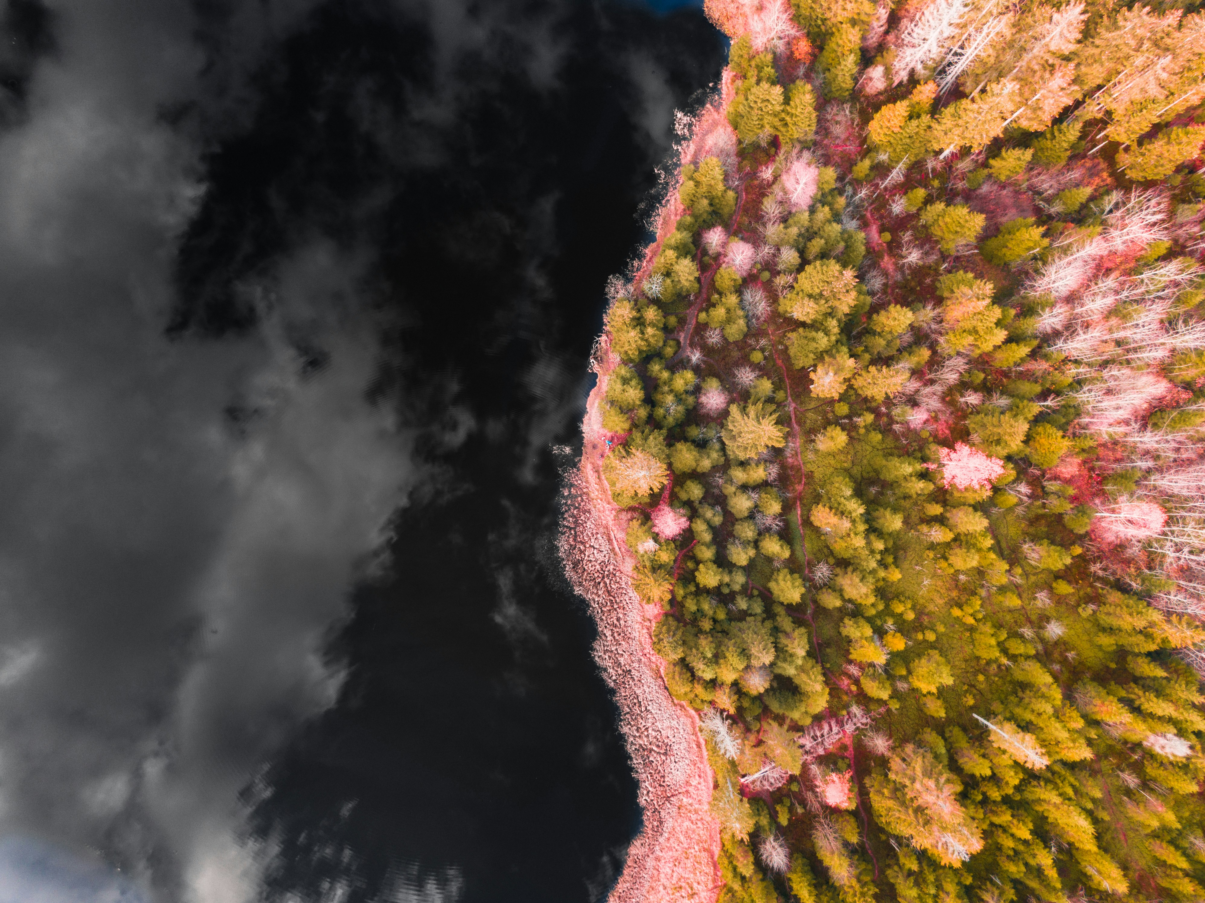 Photo by nathan030997