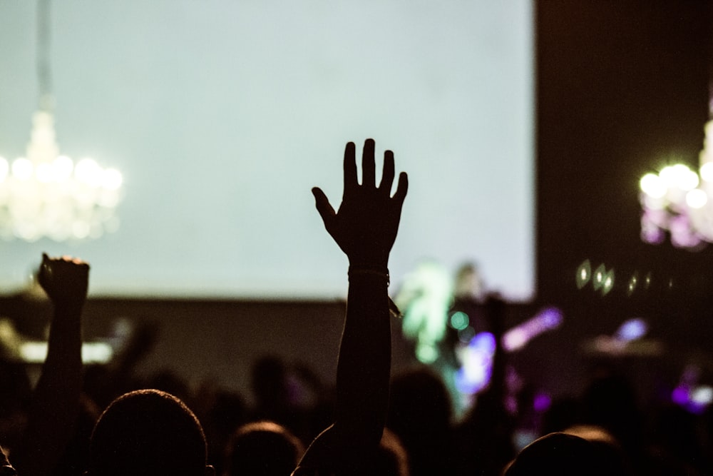 silhouette photography of human hand raising