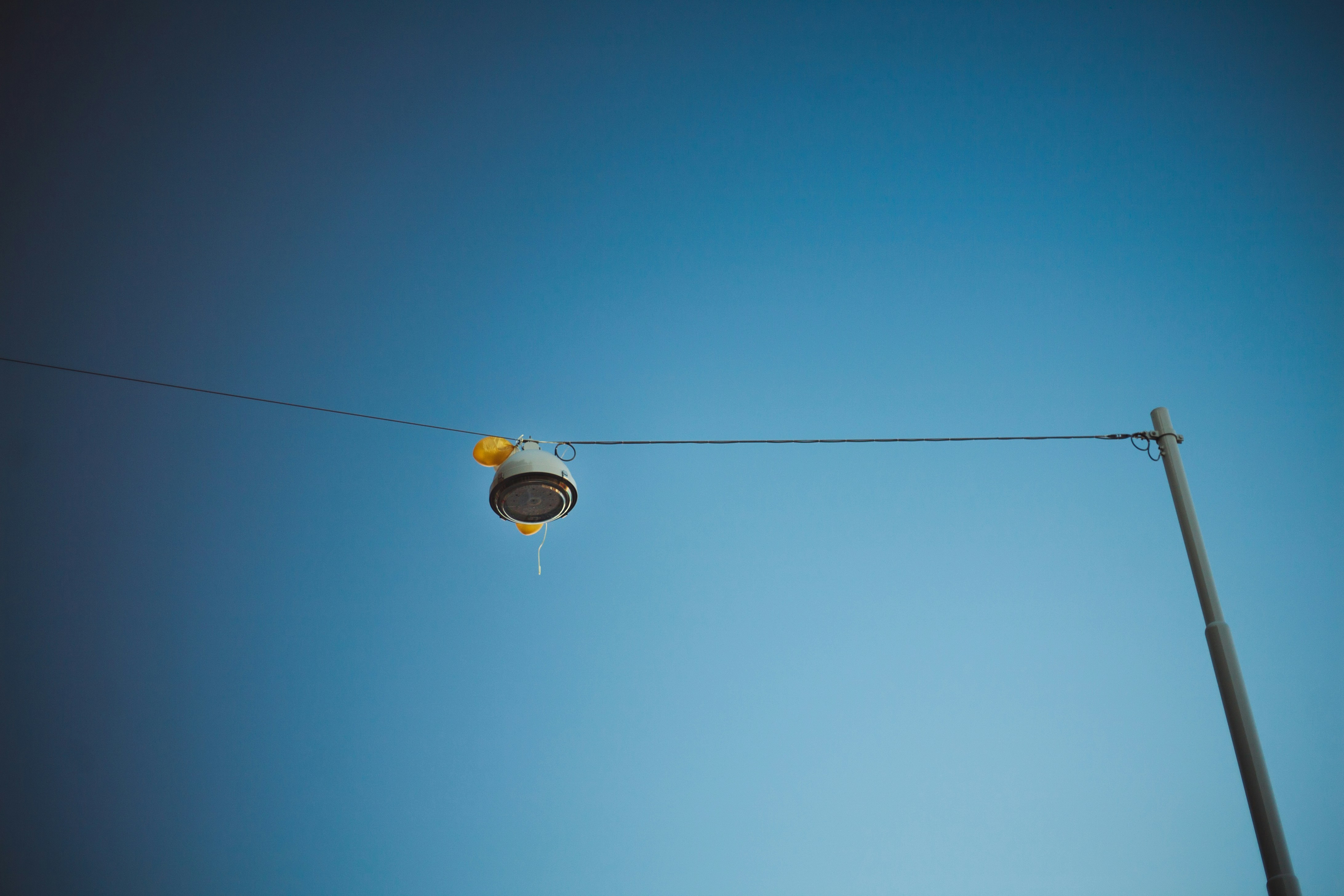 Photo by ethansexton