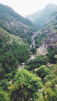 A lush green valley with dense forested hills surrounding a narrow stream. Rocky cliffs line parts of the valley, and a winding path follows the small waterfall cascading through the greenery.