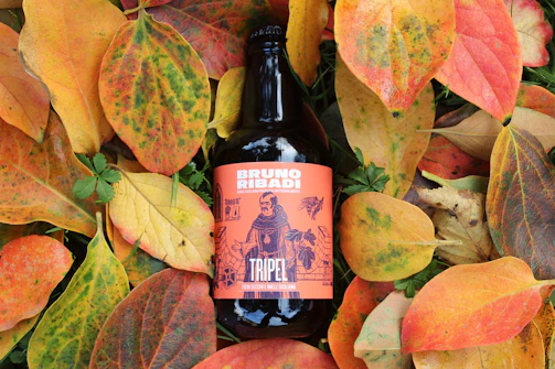 A seasonal beer bottle surrounded by autumn leaves, capturing the essence of fall flavors.