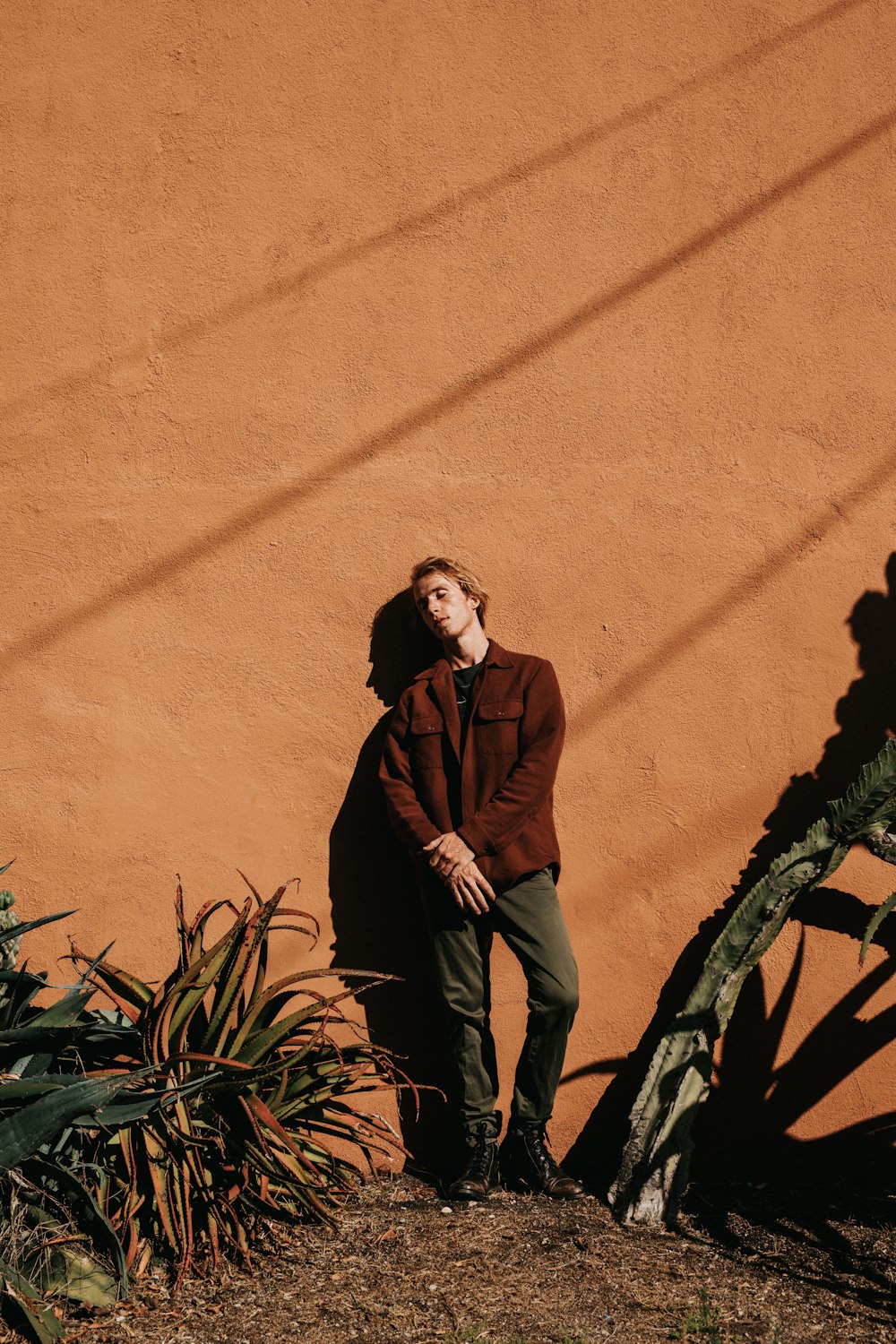 man leaning on wall near cactus plant