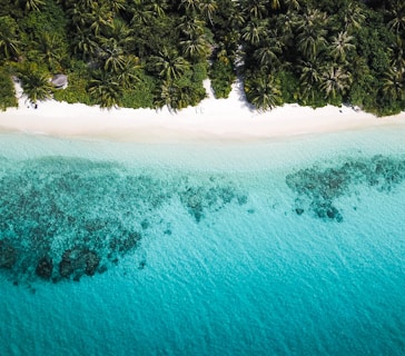 Aerial view of a tropical beach with lush green vegetation lining the edge of a pristine white sandy shore. The turquoise ocean stretches out with visible patches of darker blue, indicating coral or seaweed beneath the surface.