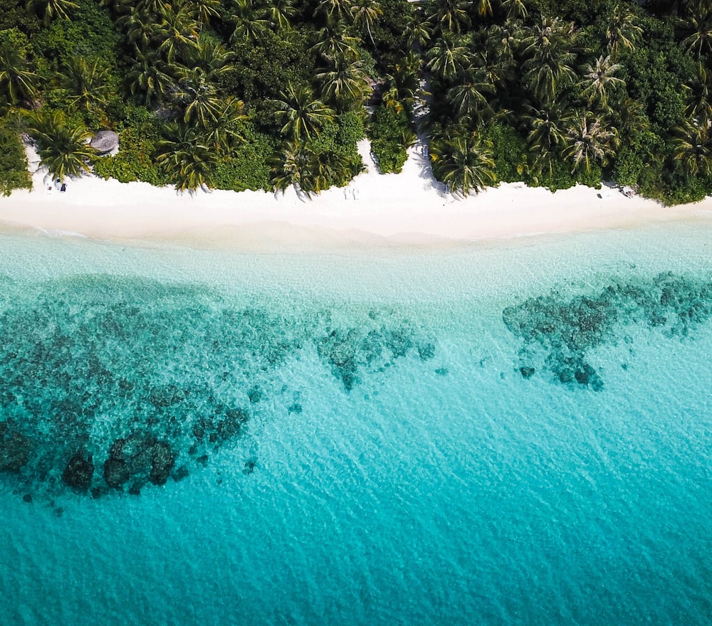 aerial view photography of sea