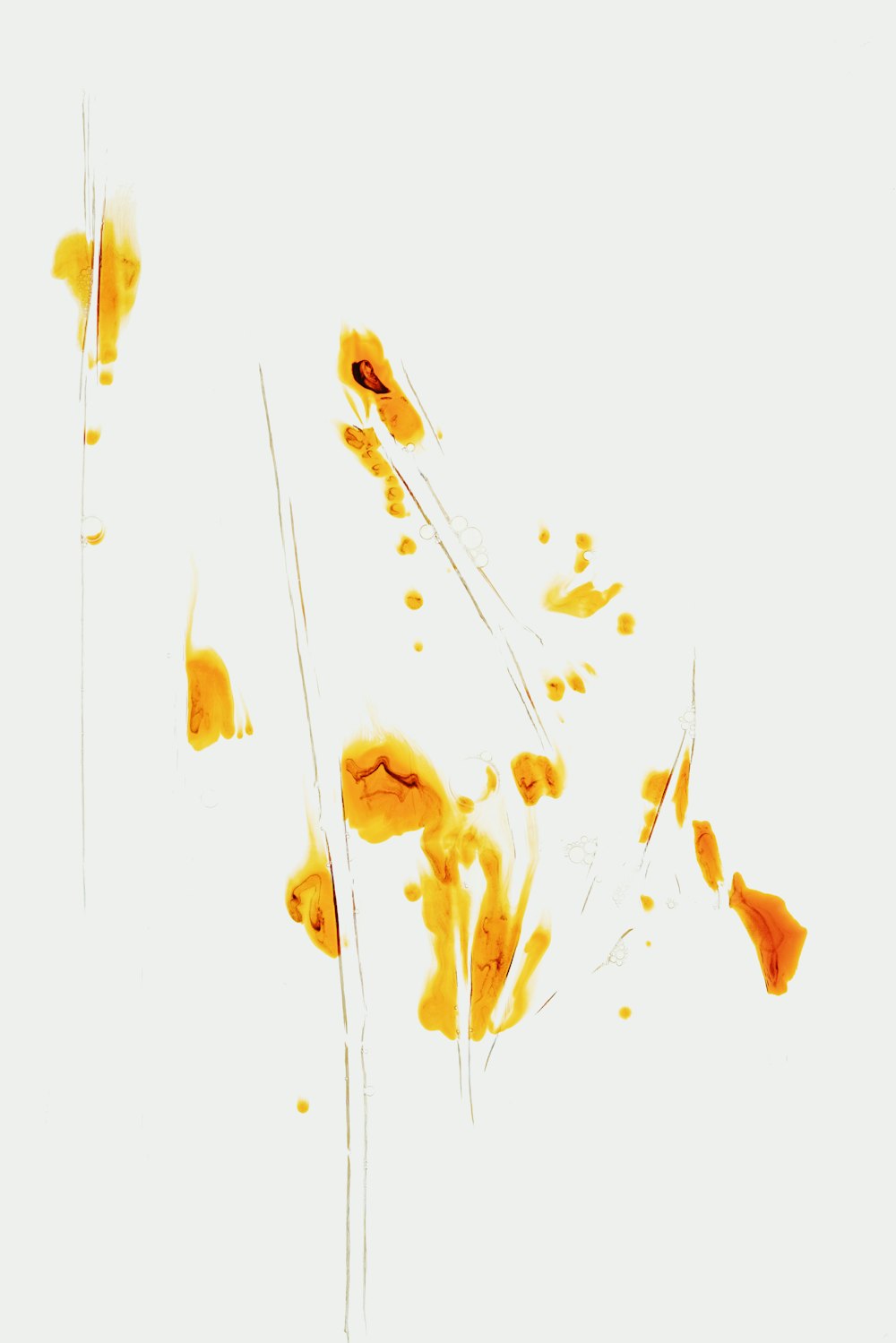 a group of yellow flowers blowing in the wind