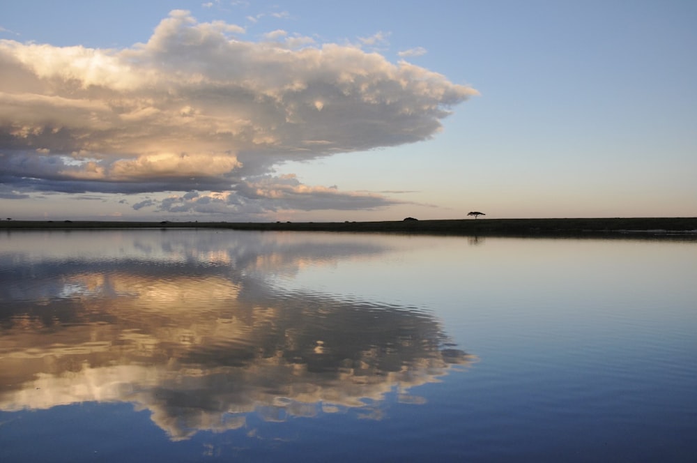 calm sea during daytime