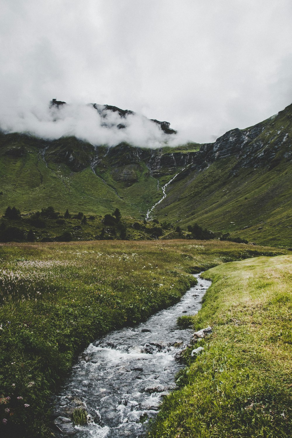 river in forest near hills