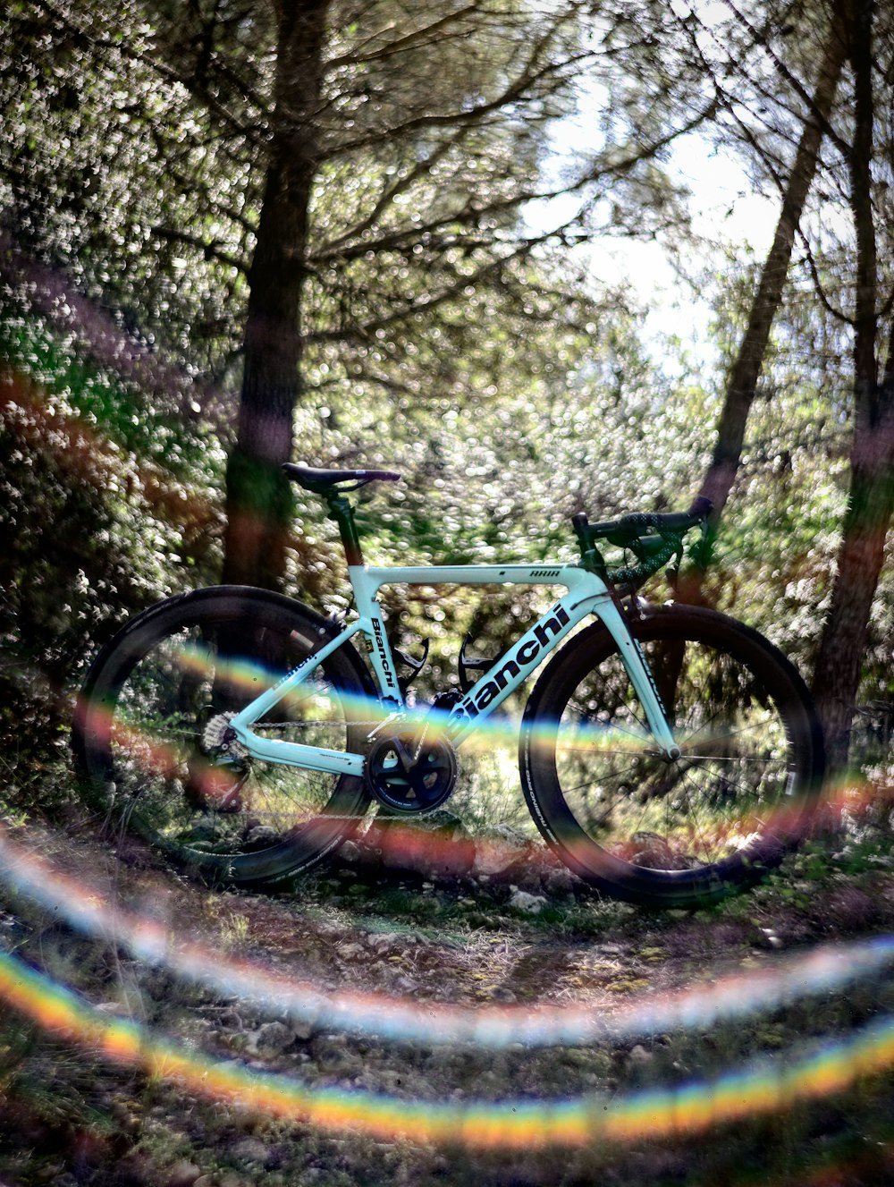 white and black mountain bike at forest