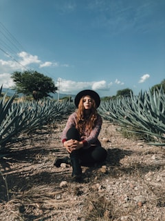 woman sitting between rows of pineapple plants