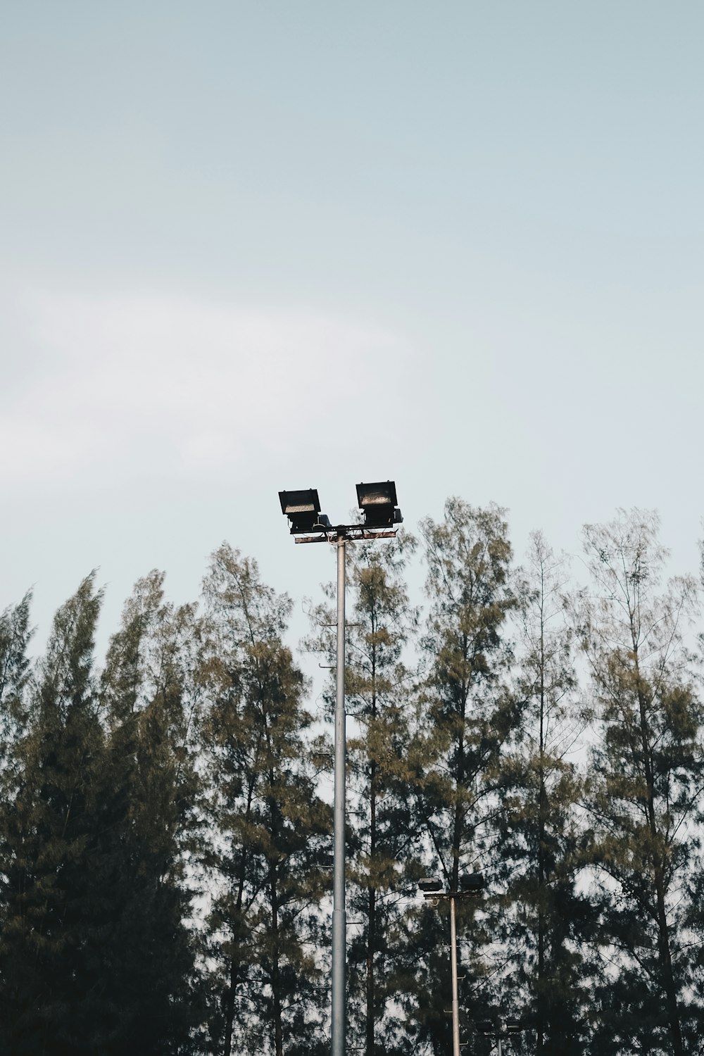 low-angle photography of post lamp near trees