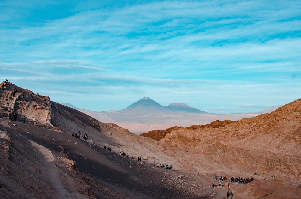 people on desert