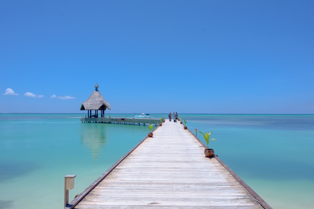 brown wooden dock above calm body of water