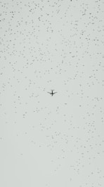 flying airliner in sky