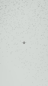 flying airliner in sky