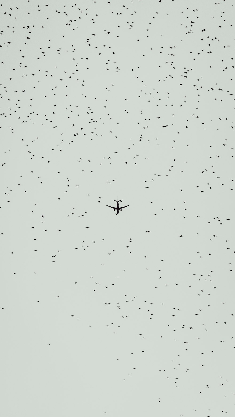 Fliegendes Verkehrsflugzeug am Himmel