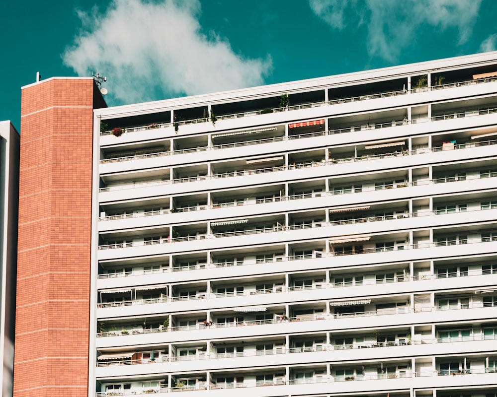 white concrete building