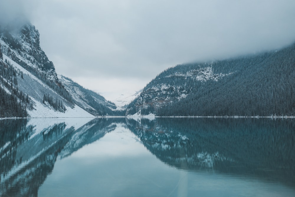 brown lake near trees