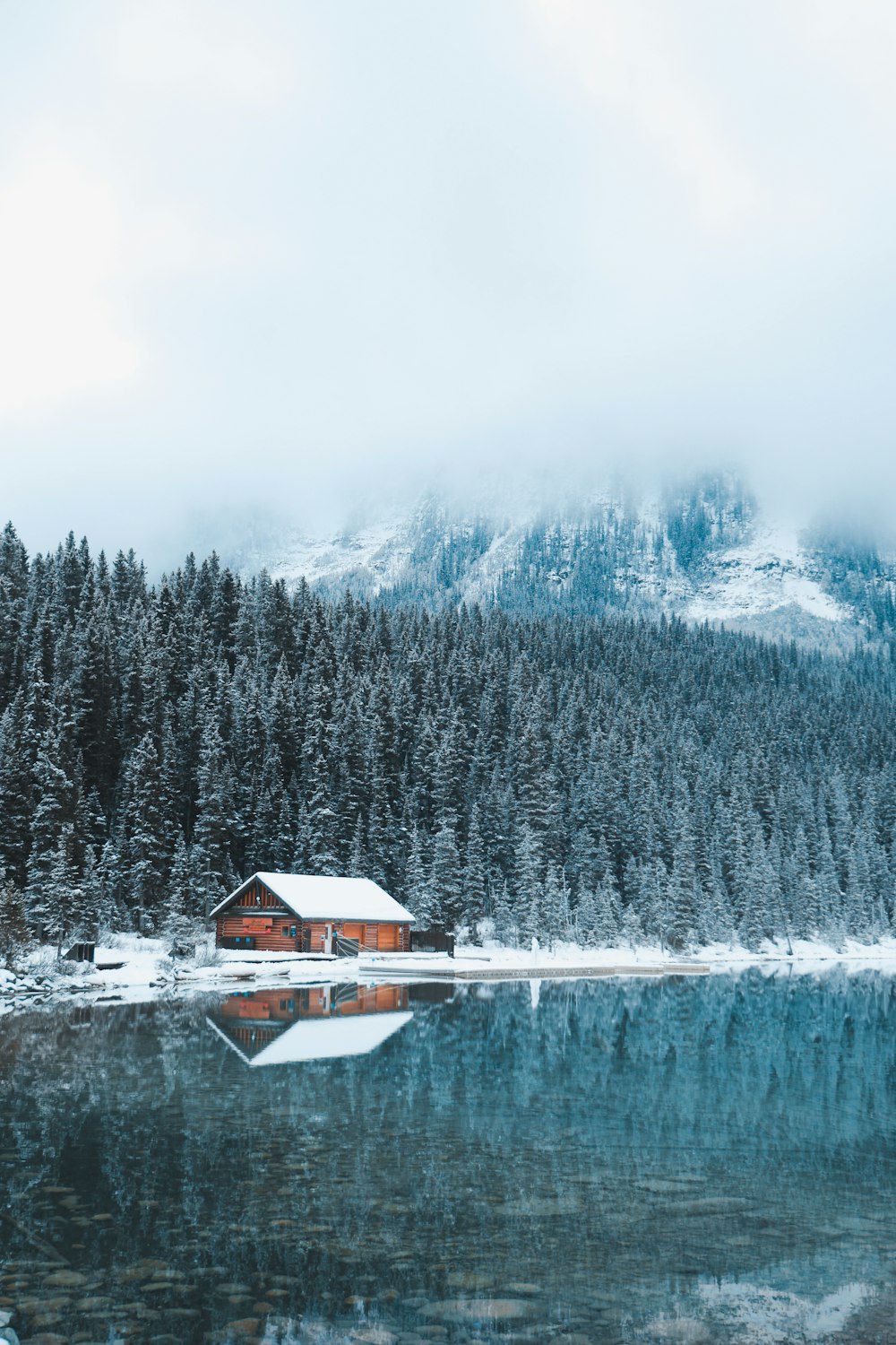 호수 옆의 키가 크고 푸른 나무로 둘러싸인 갈색과 흰색 목조 주택