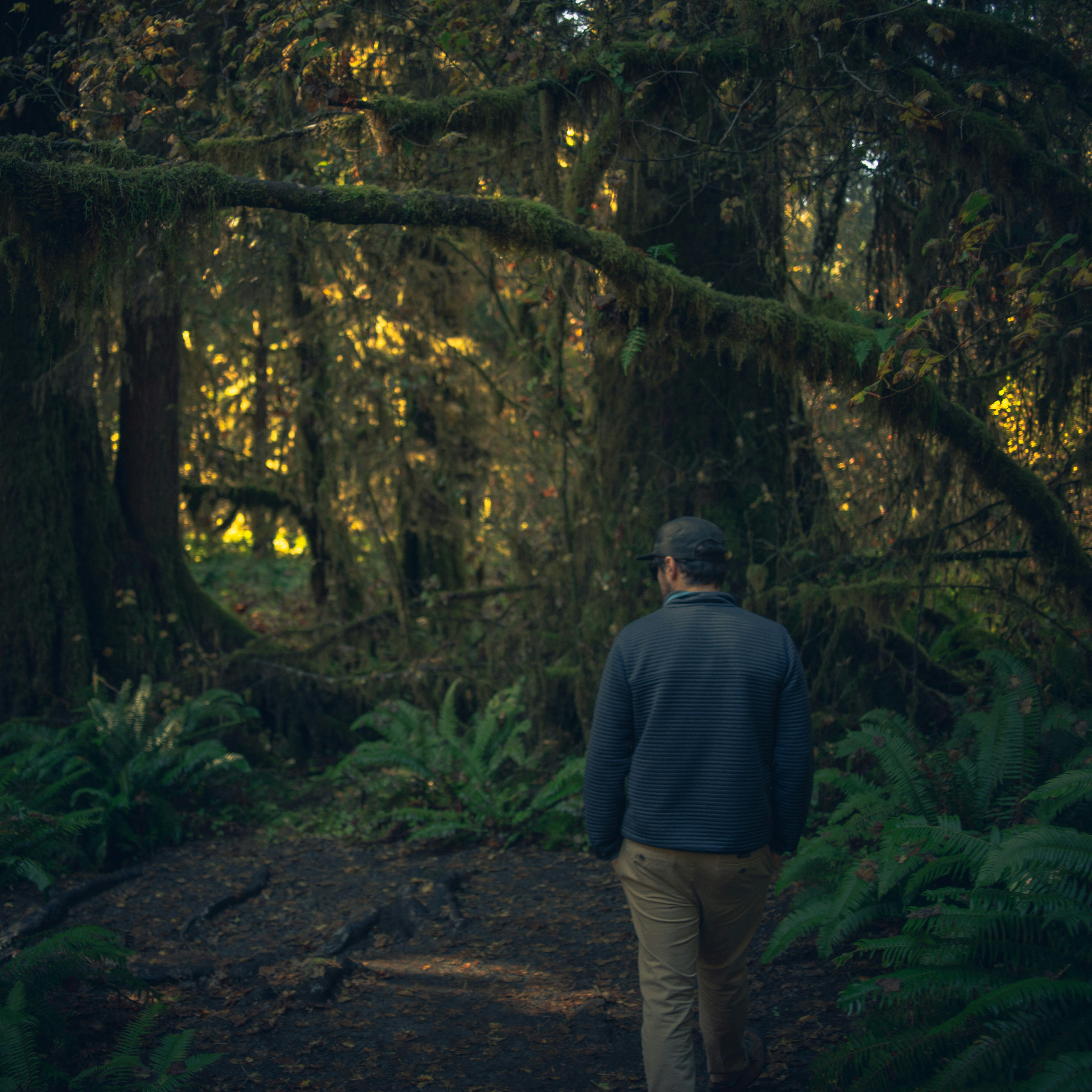 Photo by andersipsen