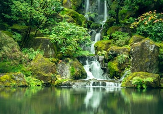 waterfalls surrounded by green-leafed trees during daytime