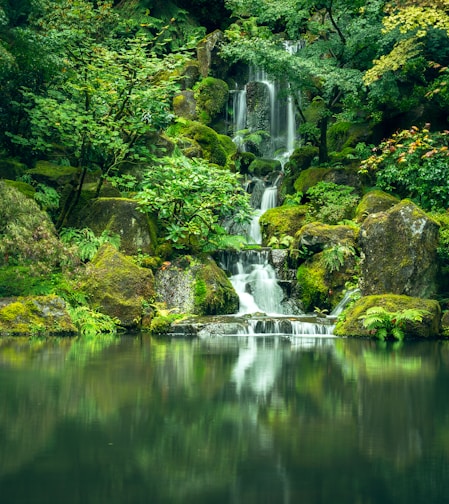 waterfalls surrounded by green-leafed trees during daytime