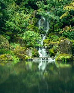 A calm waterfall surrounded by green trees