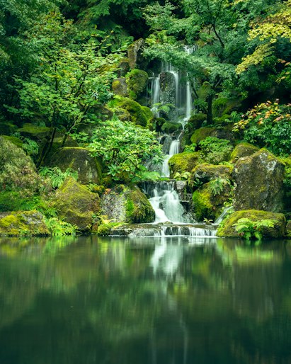 A calm waterfall surrounded by green trees
