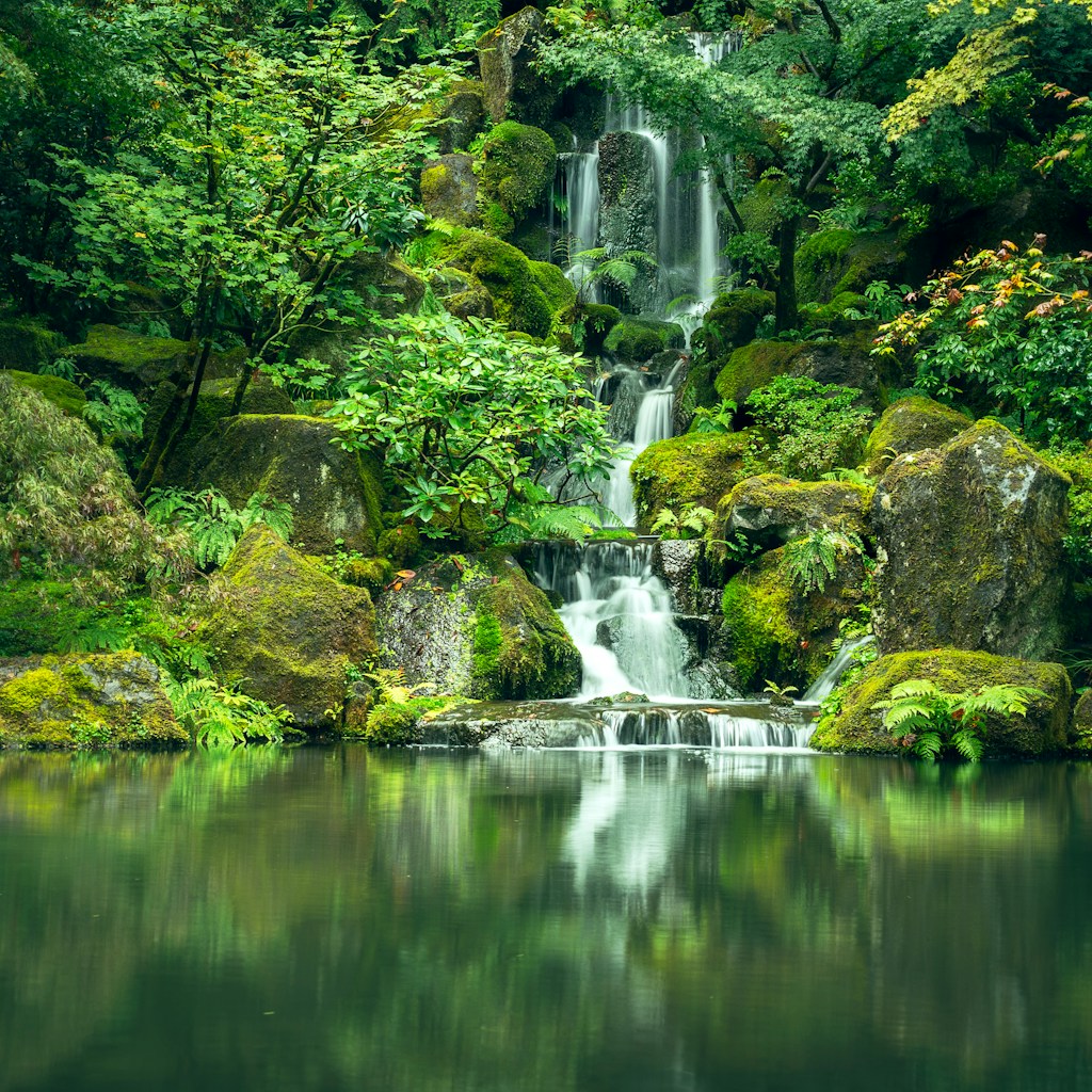 waterfalls surrounded by green-leafed trees during daytime