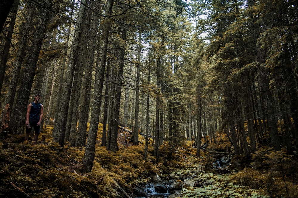 uomo in piedi all'interno della foresta durante il giorno