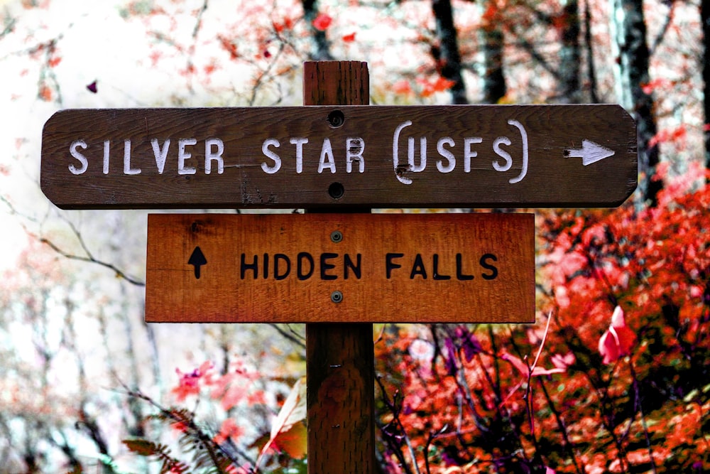 brown wooden Silver Star and Hidden Falls road sign