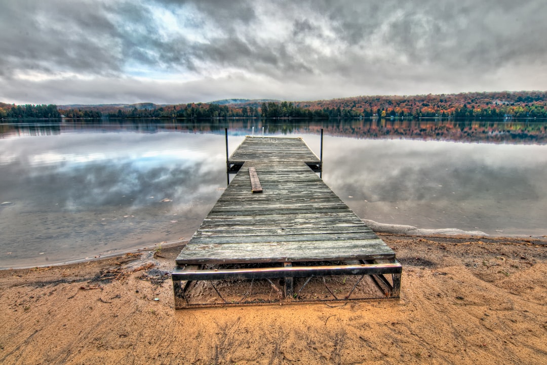 Reservoir photo spot 1079 Oxtongue Lake Rd Algonquin Park