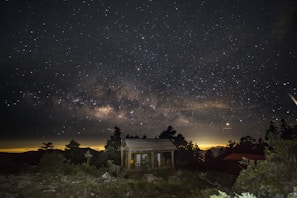 Night sky filled with stars above a rustic lodge deep in the Amazon wilderness