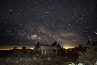 Night sky filled with stars above a rustic lodge deep in the Amazon wilderness