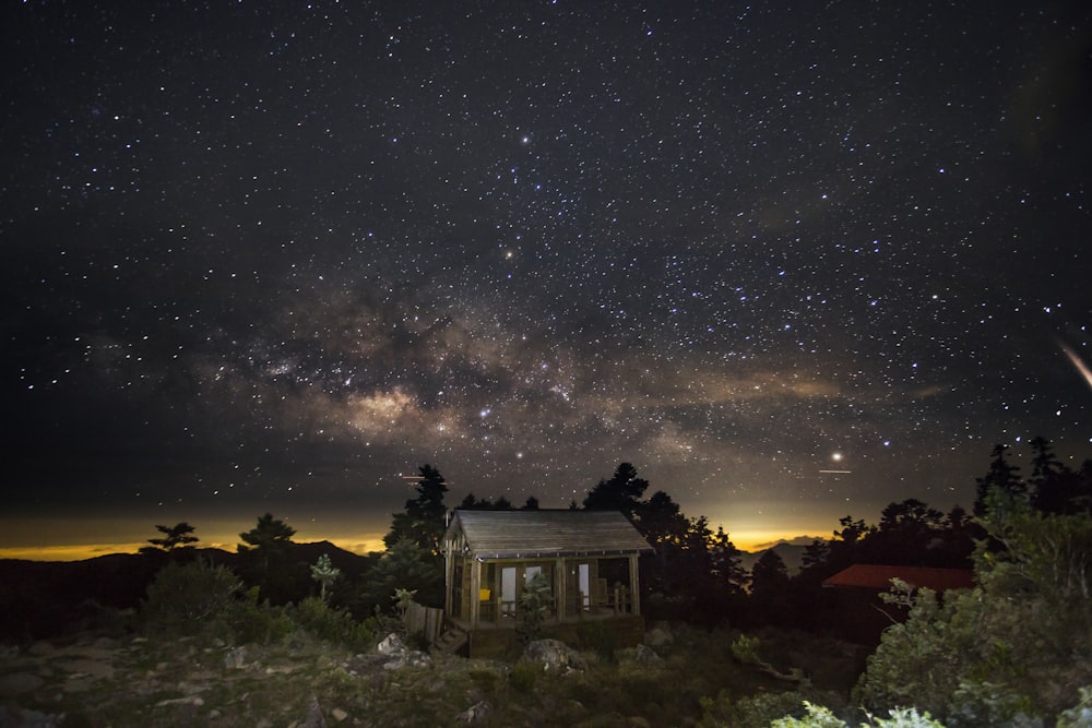 casa rodeada de árboles durante la noche