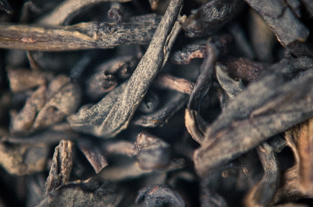 a close up view of a pile of dried herbs